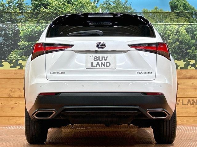 LEXUS NX300
