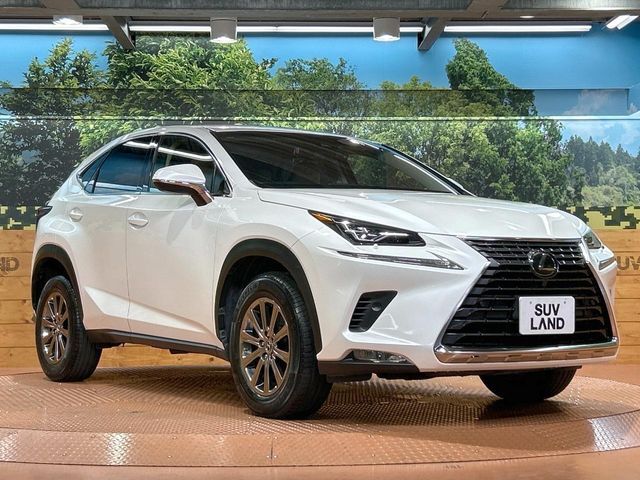 LEXUS NX300