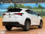 LEXUS NX300