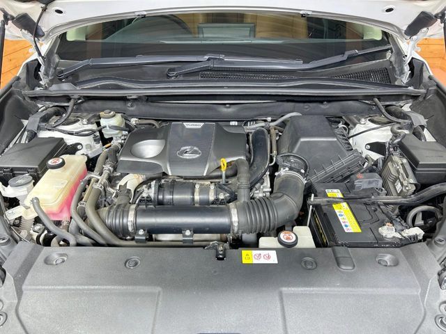 LEXUS NX300
