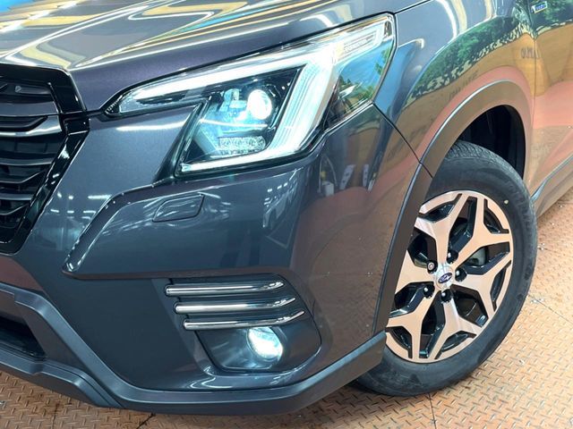 FORESTER
