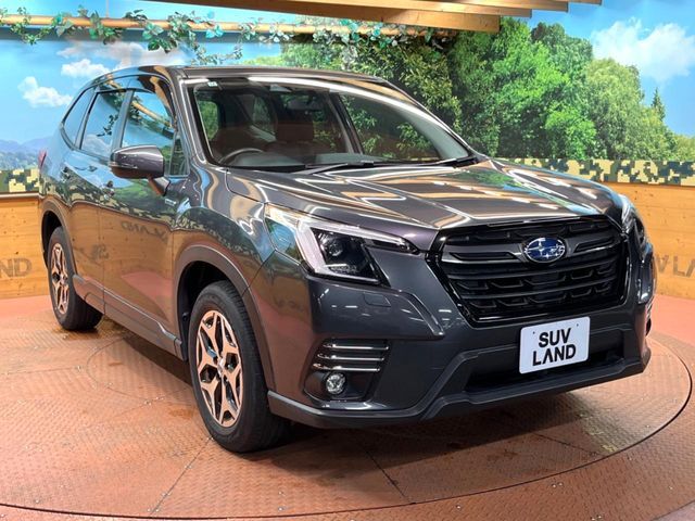 FORESTER