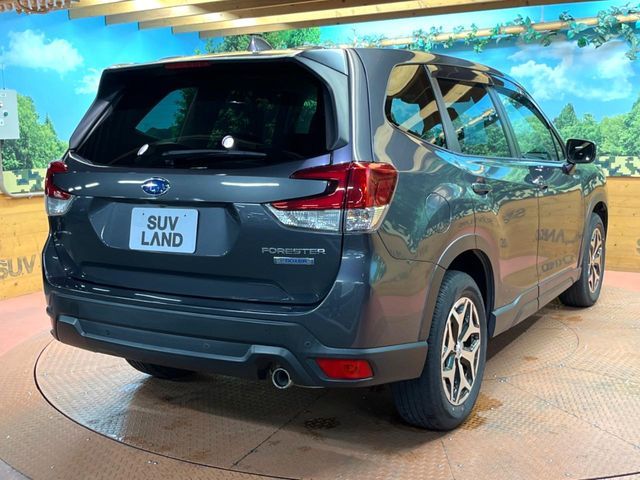 FORESTER
