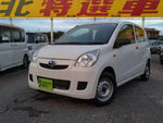PLEO van