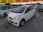 PLEO van