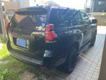 LANDCRUISER PRADO
