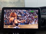 N BOX
