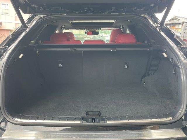 LEXUS RX450h AWD