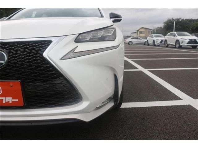 LEXUS NX300h AWD