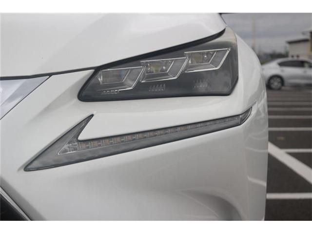 LEXUS NX300h AWD