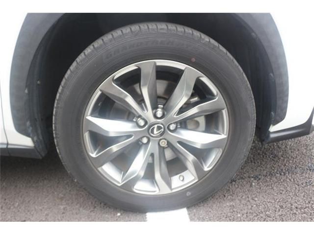 LEXUS NX300h AWD