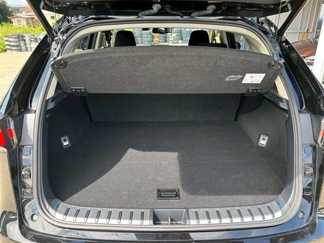LEXUS NX300h