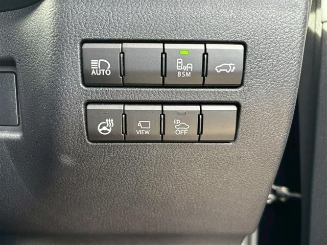 LEXUS NX300h