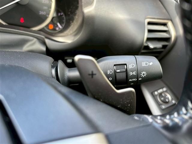 LEXUS NX300h