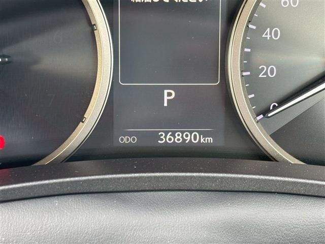 LEXUS NX300h