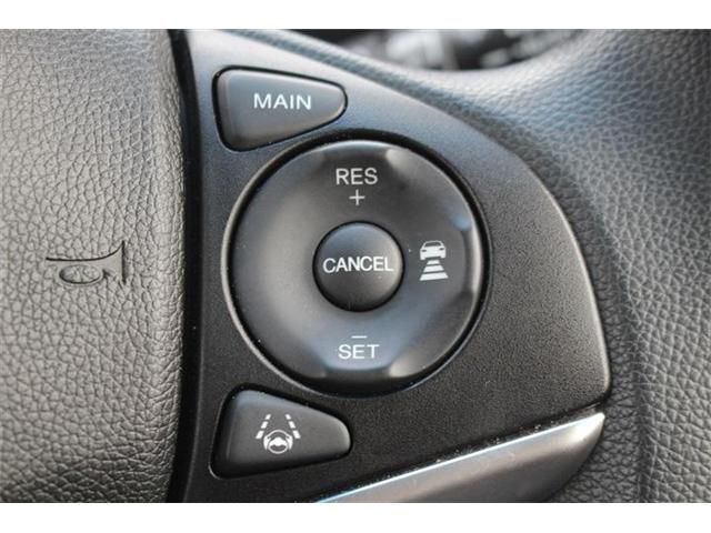 SHUTTLE HYBRID 4WD