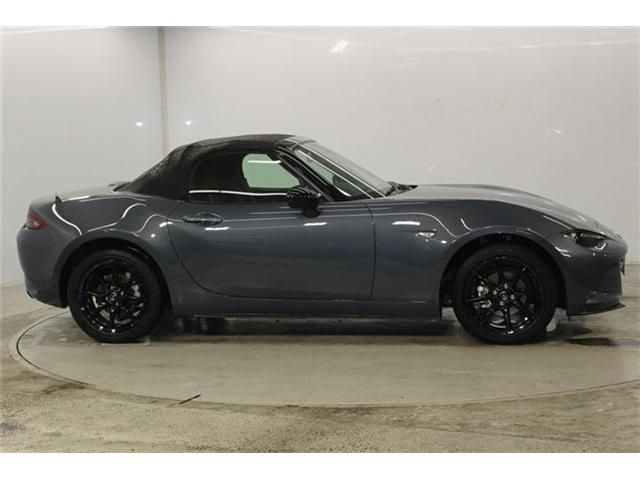 ROADSTER