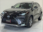 LEXUS NX300