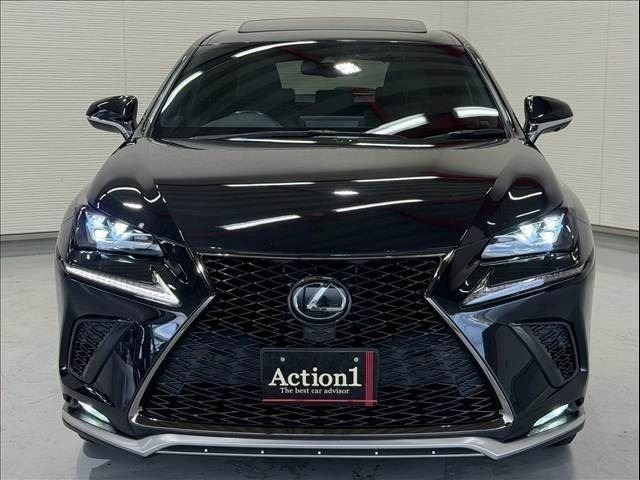 LEXUS NX300