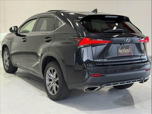 LEXUS NX300