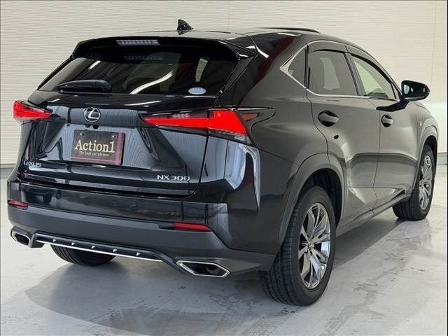 LEXUS NX300