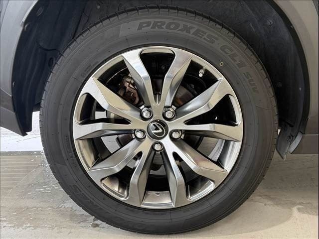 LEXUS NX300