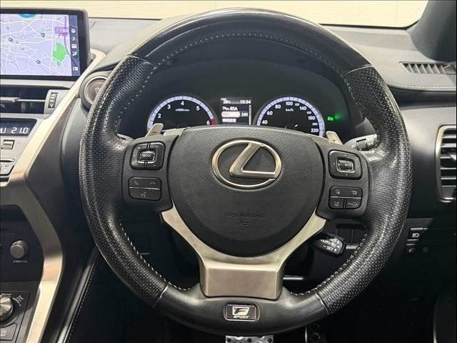 LEXUS NX300