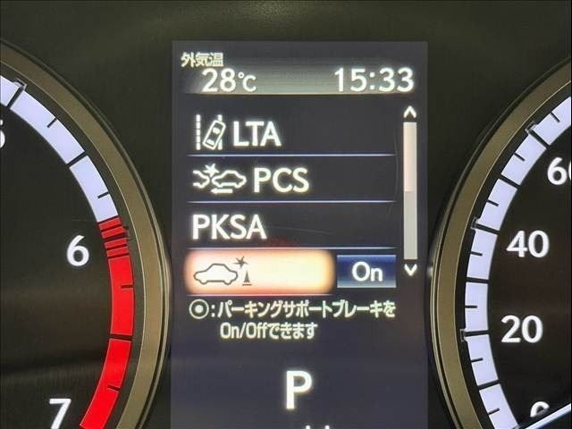 LEXUS NX300