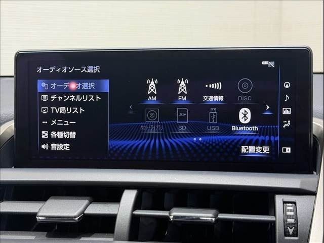 LEXUS NX300