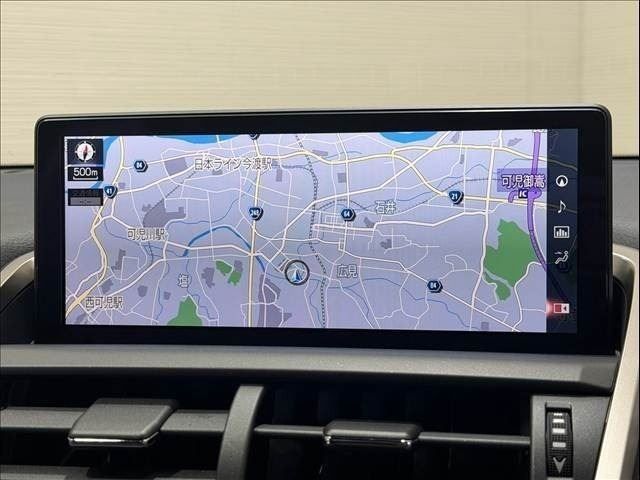 LEXUS NX300