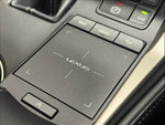 LEXUS NX300