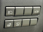 LEXUS NX300