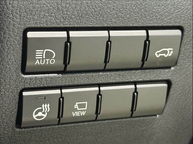 LEXUS NX300
