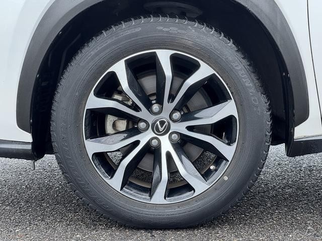 LEXUS NX200t