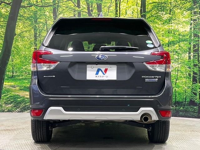 FORESTER