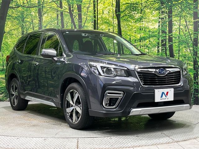 FORESTER