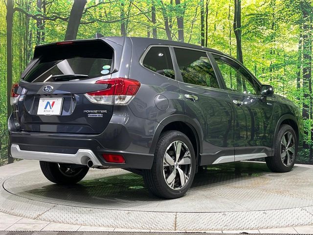 FORESTER