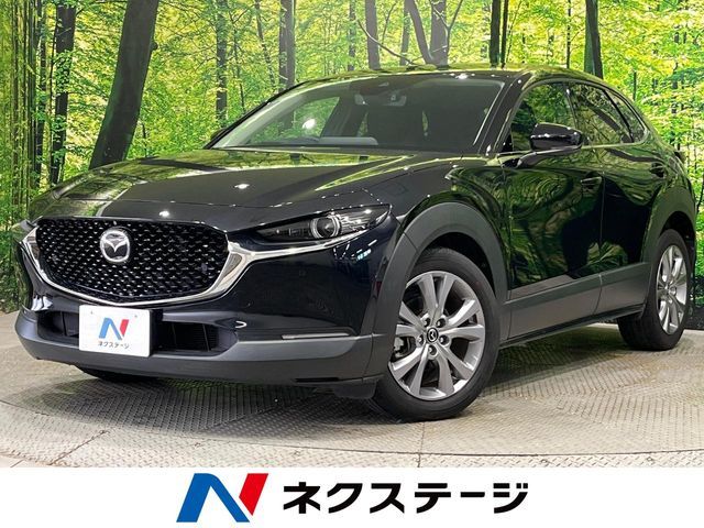 CX-30