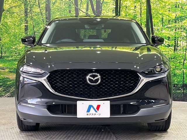 CX-30