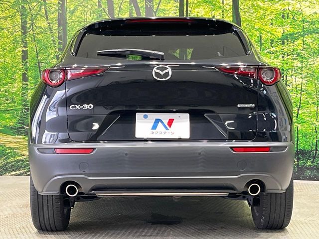 CX-30