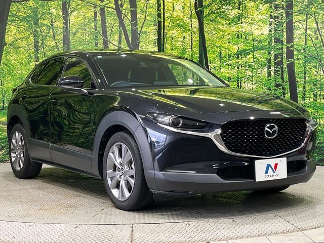 CX-30