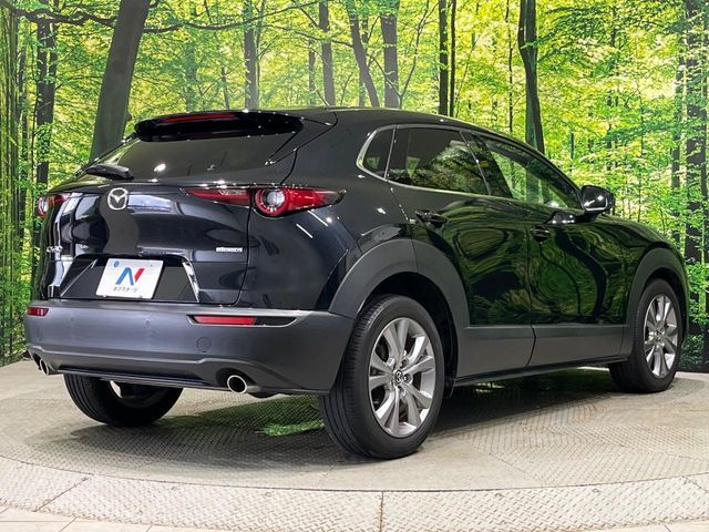 CX-30