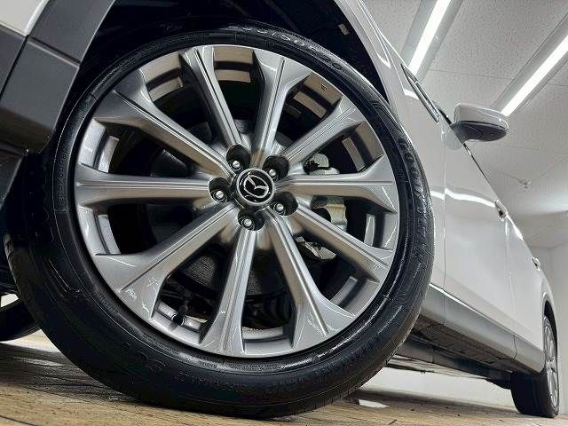 CX-80