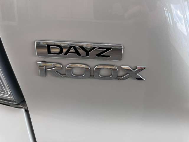 DAYZ ROOX