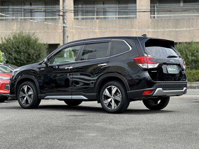 FORESTER