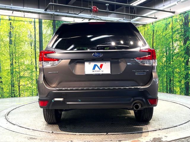 FORESTER