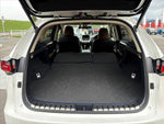 LEXUS NX300h