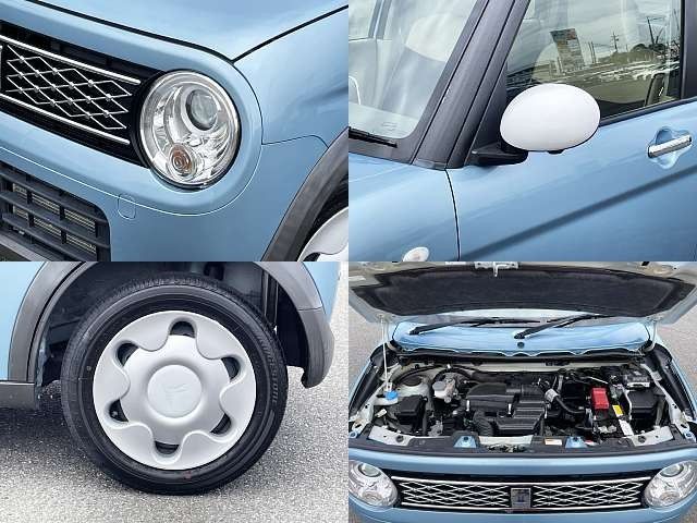 ALTO LAPIN