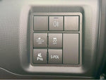 RAIZE HYBRID