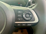 RAIZE HYBRID